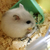Profile picture small