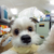 Profile picture small