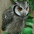 Profile picture small