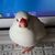 Profile picture small
