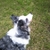 Profile picture small