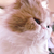 Profile picture small