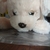 Profile picture small