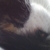Profile picture small