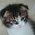 Profile picture small