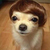 Profile picture small