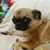 Profile picture small