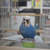 Profile picture small
