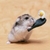 Profile picture small