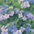 Profile picture small