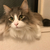 Profile picture small