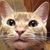 Profile picture small