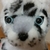 Profile picture small
