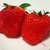 Profile picture small