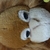 Profile picture small