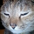 Profile picture small