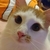 のあたん