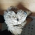 Profile picture small
