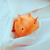 Profile picture small