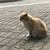 Profile picture small