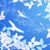 Profile picture small