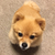 Profile picture small
