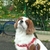 Profile picture small