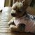 Profile picture small