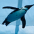 Profile picture small