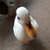Profile picture small