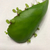 Profile picture small