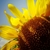 Profile picture small