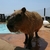 Profile picture small