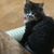 Profile picture small