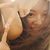 Profile picture small