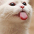 Profile picture small