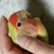 Profile picture small