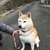 Profile picture small