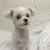 Profile picture small