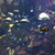 Profile picture small