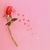 Profile picture small