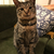 Profile picture small