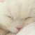 Profile picture small