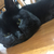 Profile picture small