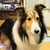 Profile picture small