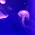 Profile picture small