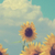 Profile picture small