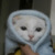 Profile picture small