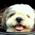 Profile picture small