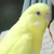 Profile picture small